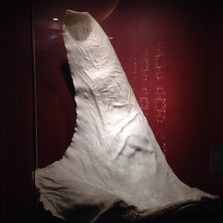 image-20140303235648.png